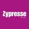 Logo von Zypresse Verlags GmbH