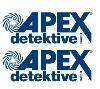 Logo von Detektei Apex Detektive GmbH Hamburg