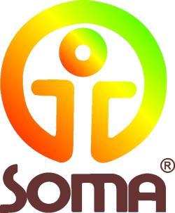 Logo von SOMA-Institut-Europa