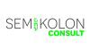 Logo von Semikolon Consult GmbH & Co. KG