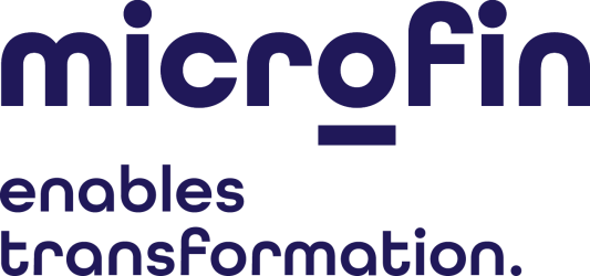 Logo von microfin Unternehmensberatung GmbH