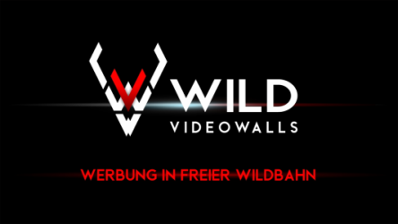 Logo von Wild Videowalls