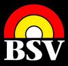 Logo von BSV Bau - Sanierung - Verwaltung GmbH