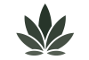 Logo von WeBelieve UG (haftungsbeschränkt)