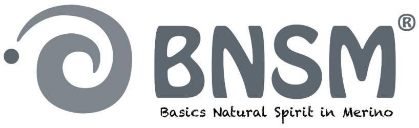 Logo von Bnsm GmbH