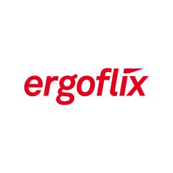 Logo von ergoflix Group GmbH