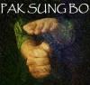 Logo von PAK SUNG BO BERGKAMEN