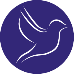 Logo von Flying Bird Media