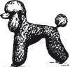 Logo von Hundesalon Füssen