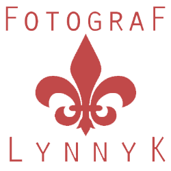 Logo von Newborn und Babyfotograf Lynnyk in Frankfurt und Königstein