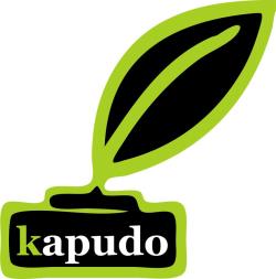 Logo von kapudo IT-Studio