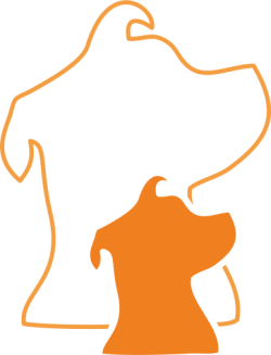 Logo von Dogmenti Hundetrainer Ausbildung, Seminare