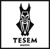 Logo von Tesem Music