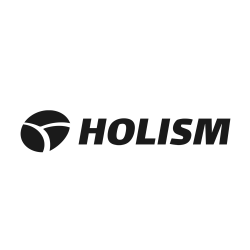 Logo von Holism GmbH