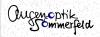 Logo von Augenoptik Sommerfeld